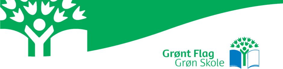 Grønt Flag