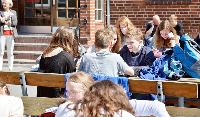 Fladkheldagsskoleegernfoerde