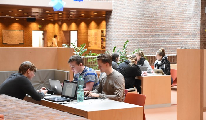 Dkfladuborg -723124916